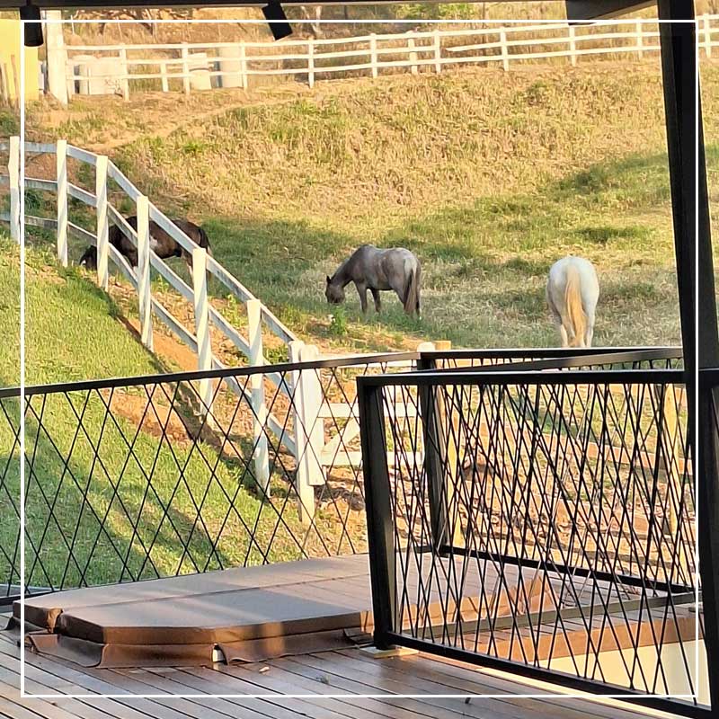 retiro_brasil_25l_007