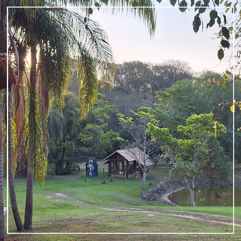 retiro_brasil_25l_009