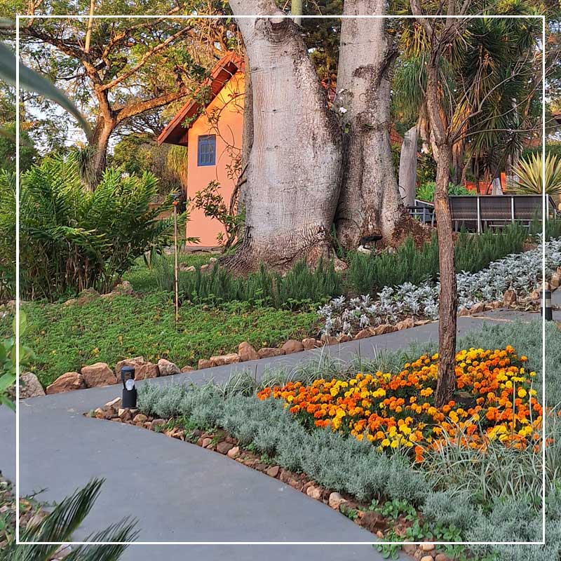 retiro_brasil_25l_010